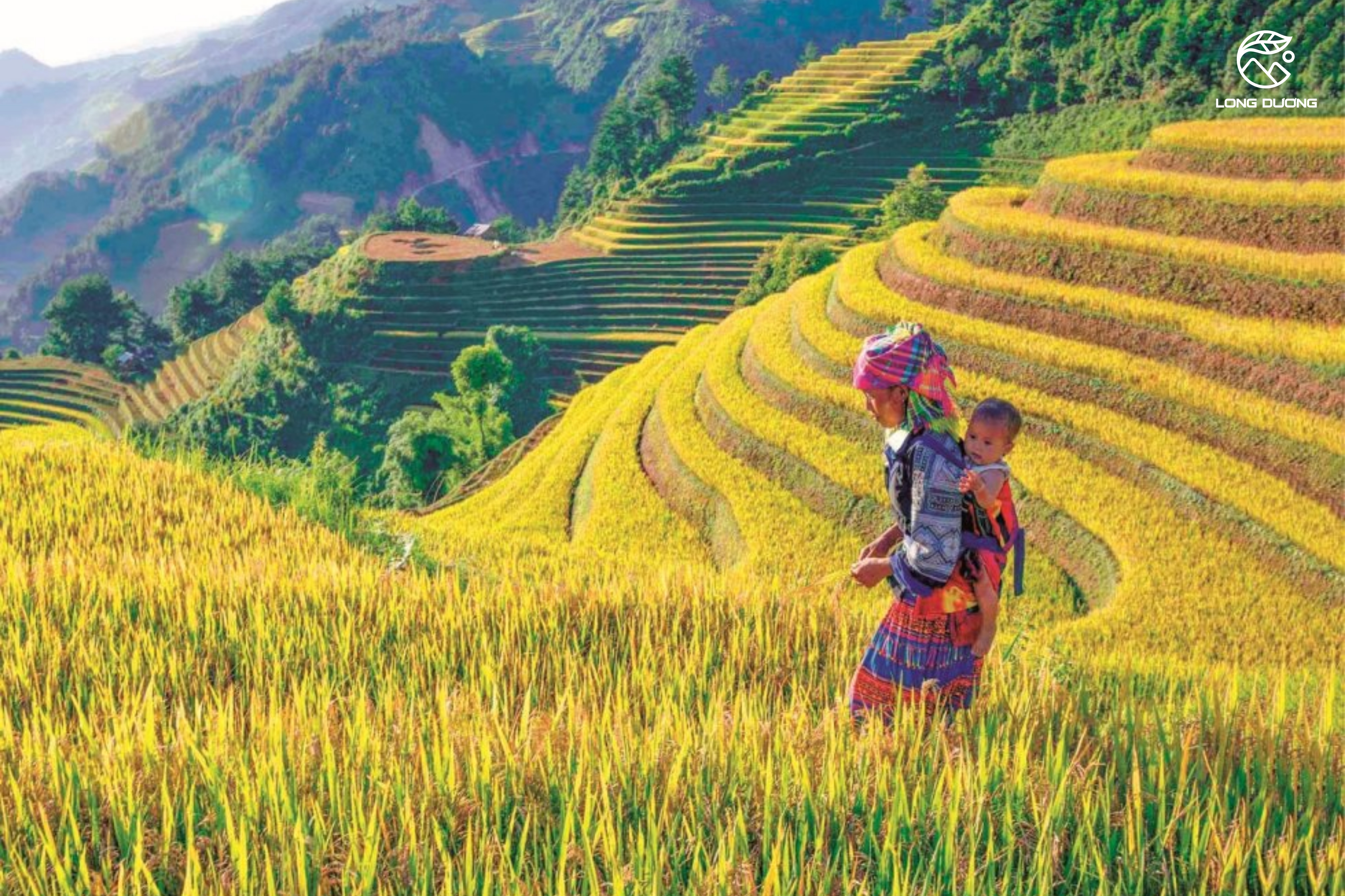 Mùa Căng Chải 