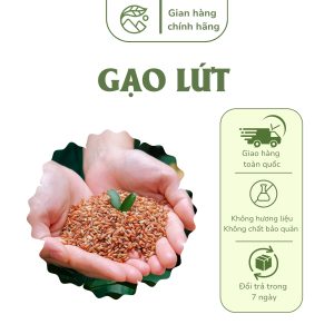 Gạo Lứt Long Dương Food