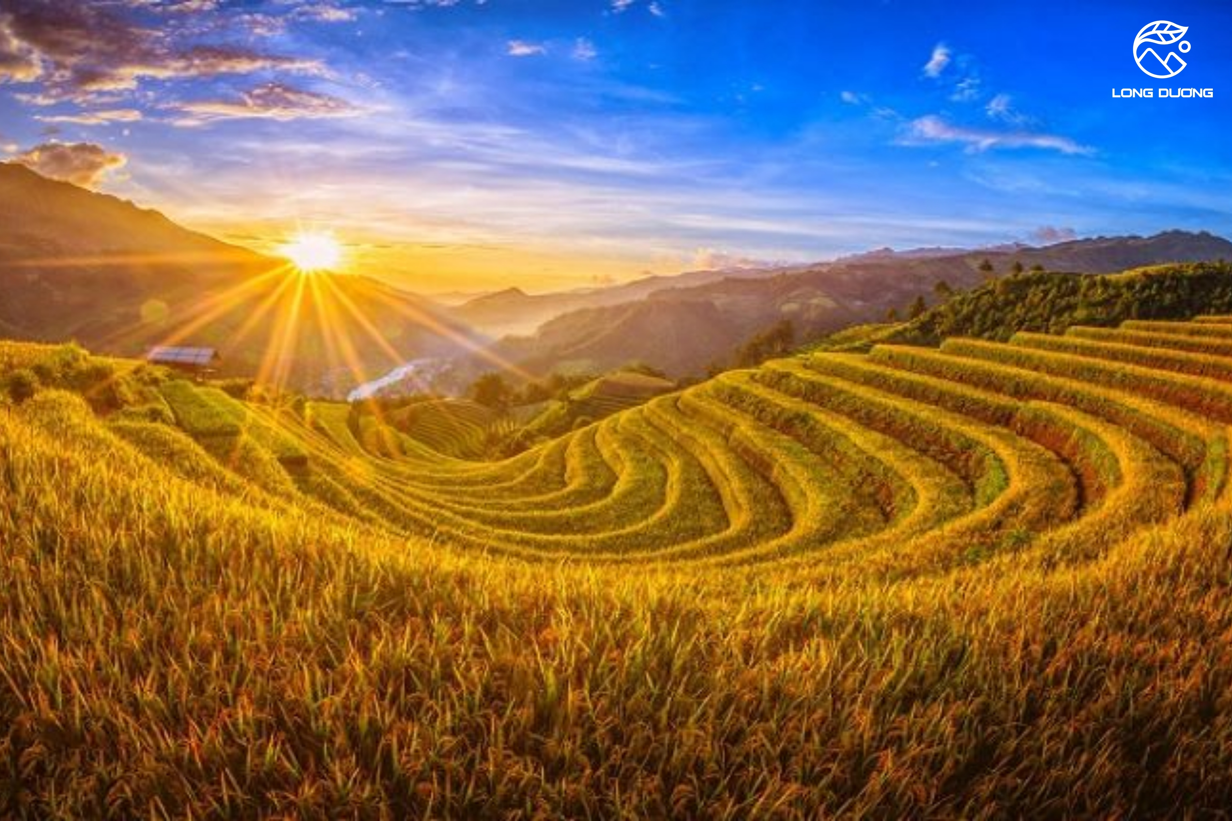 SaPa - Lào Cai