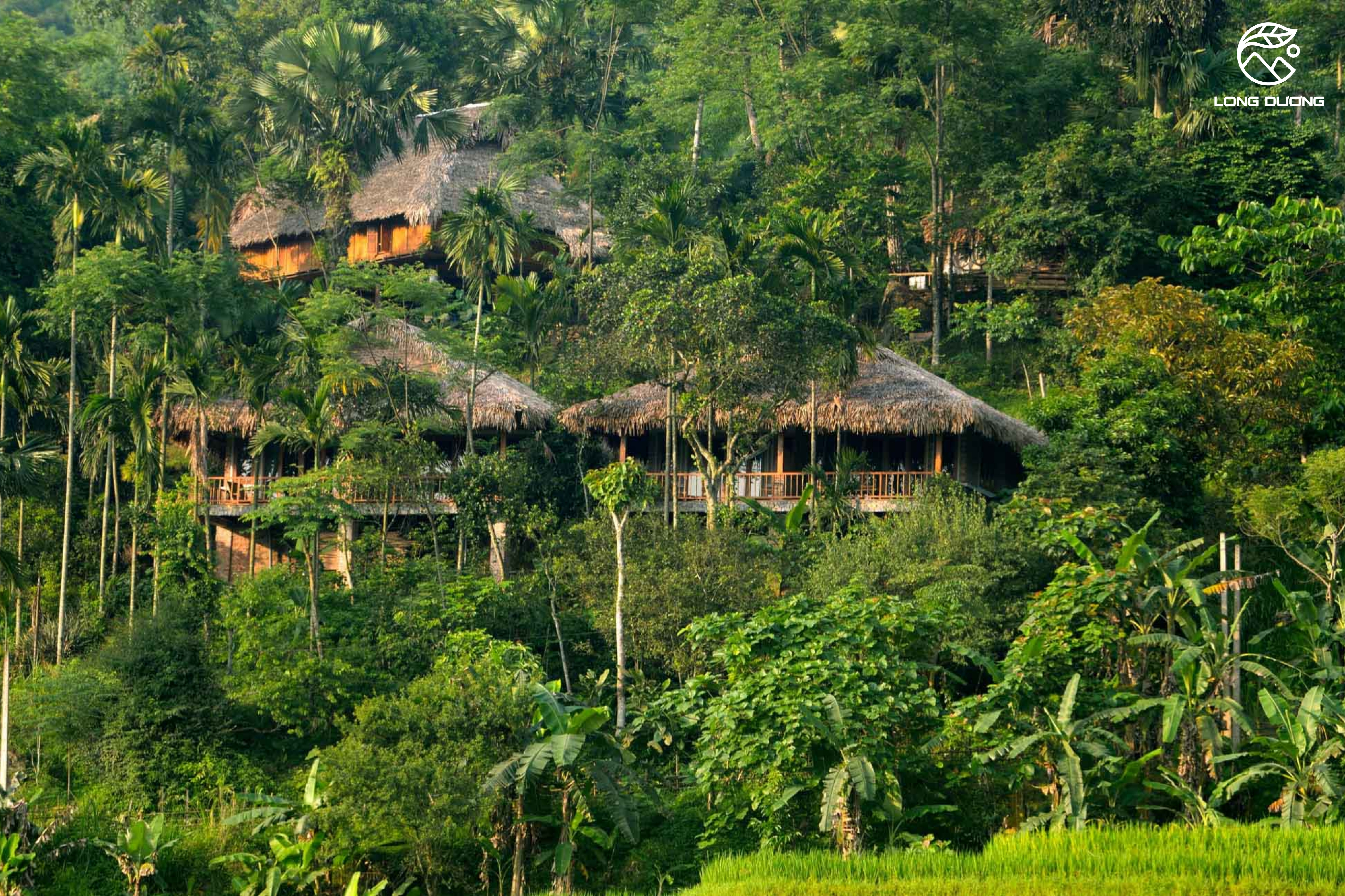 rừng thiêng Pù Luông