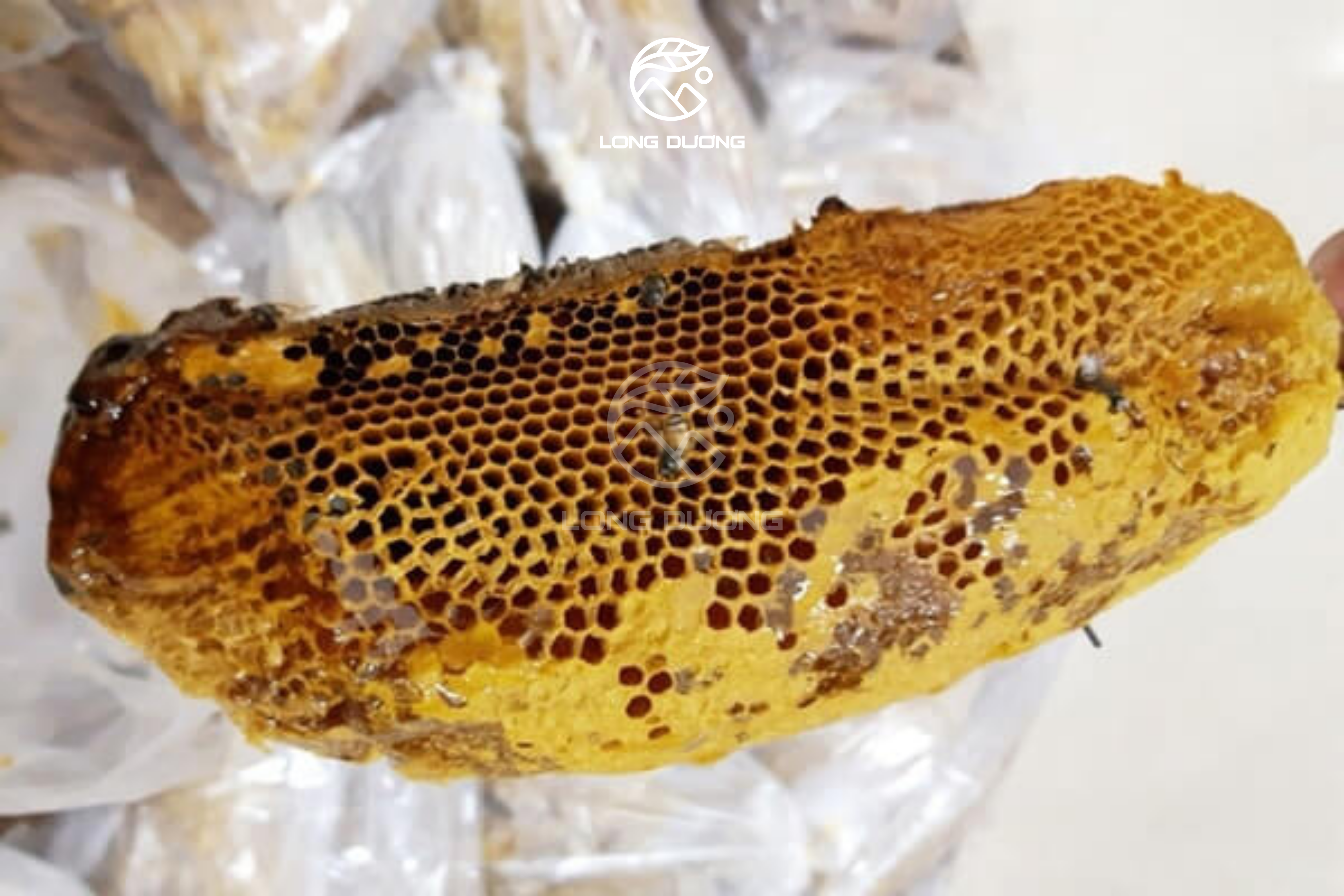 So sánh mật ong khoái và mật ong ruồi loại nào tốt