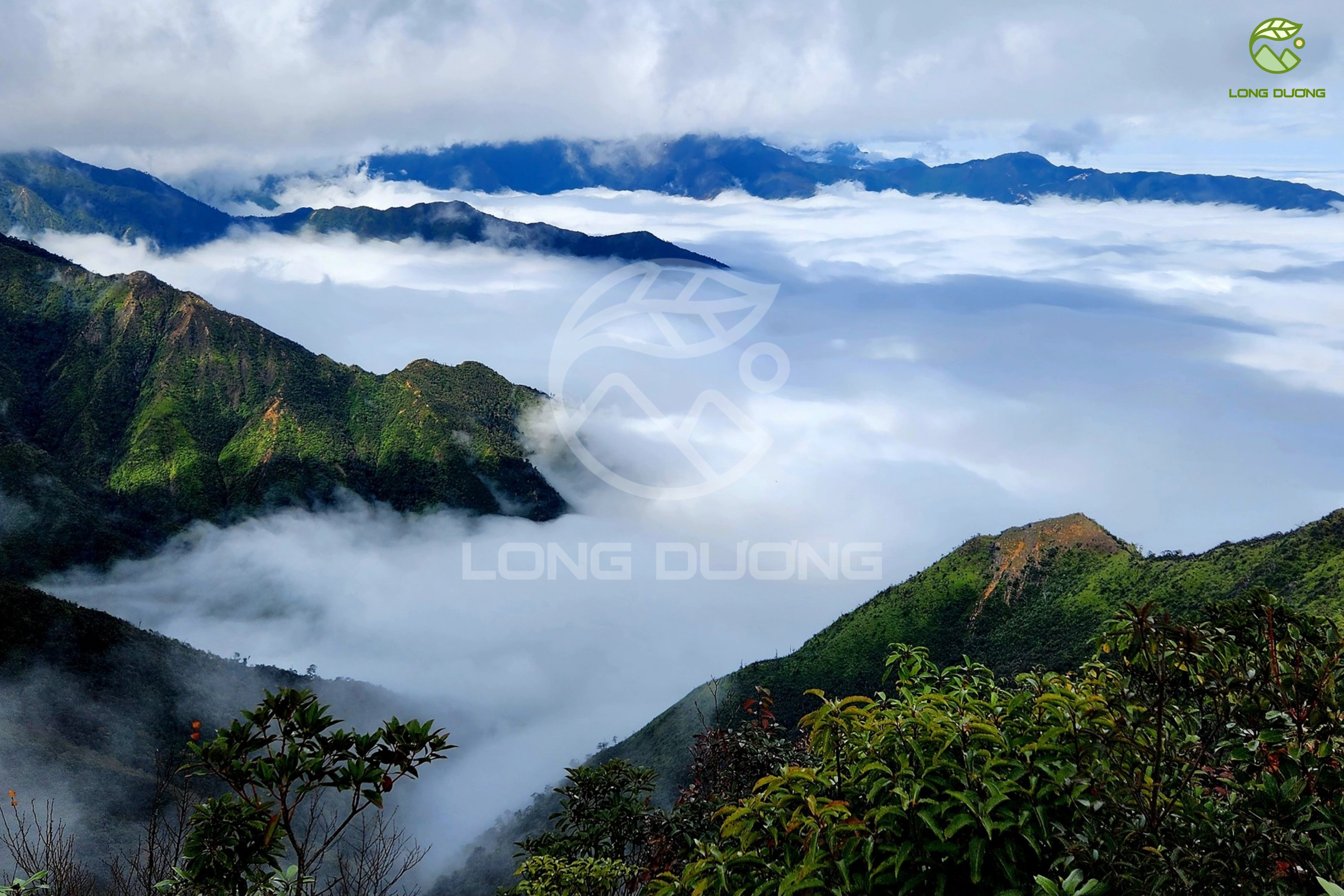 săn mây Tà Xùa