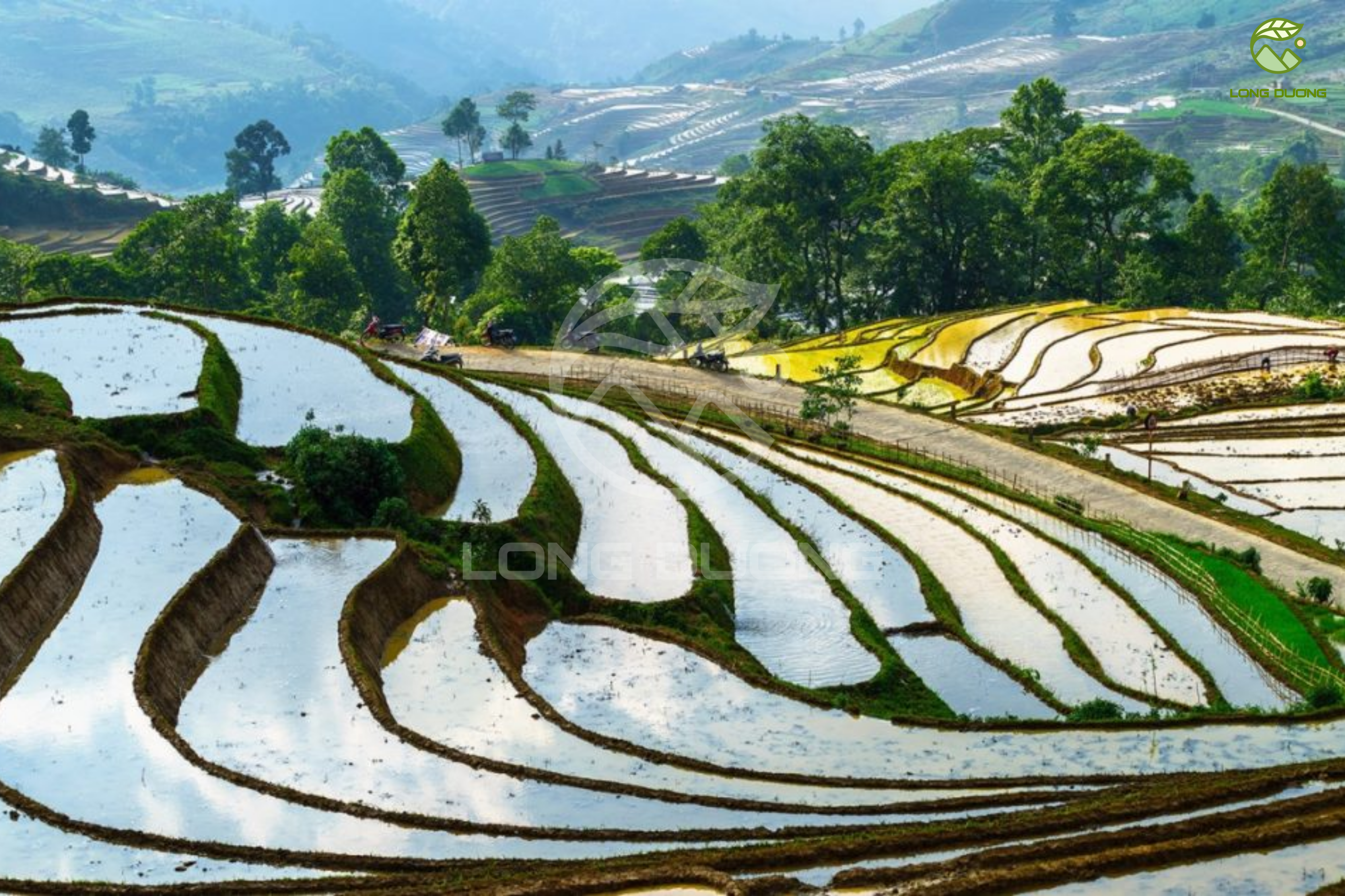 Tây Bắc mùa nước đổ, ruộng bậc thang Tây Bắc