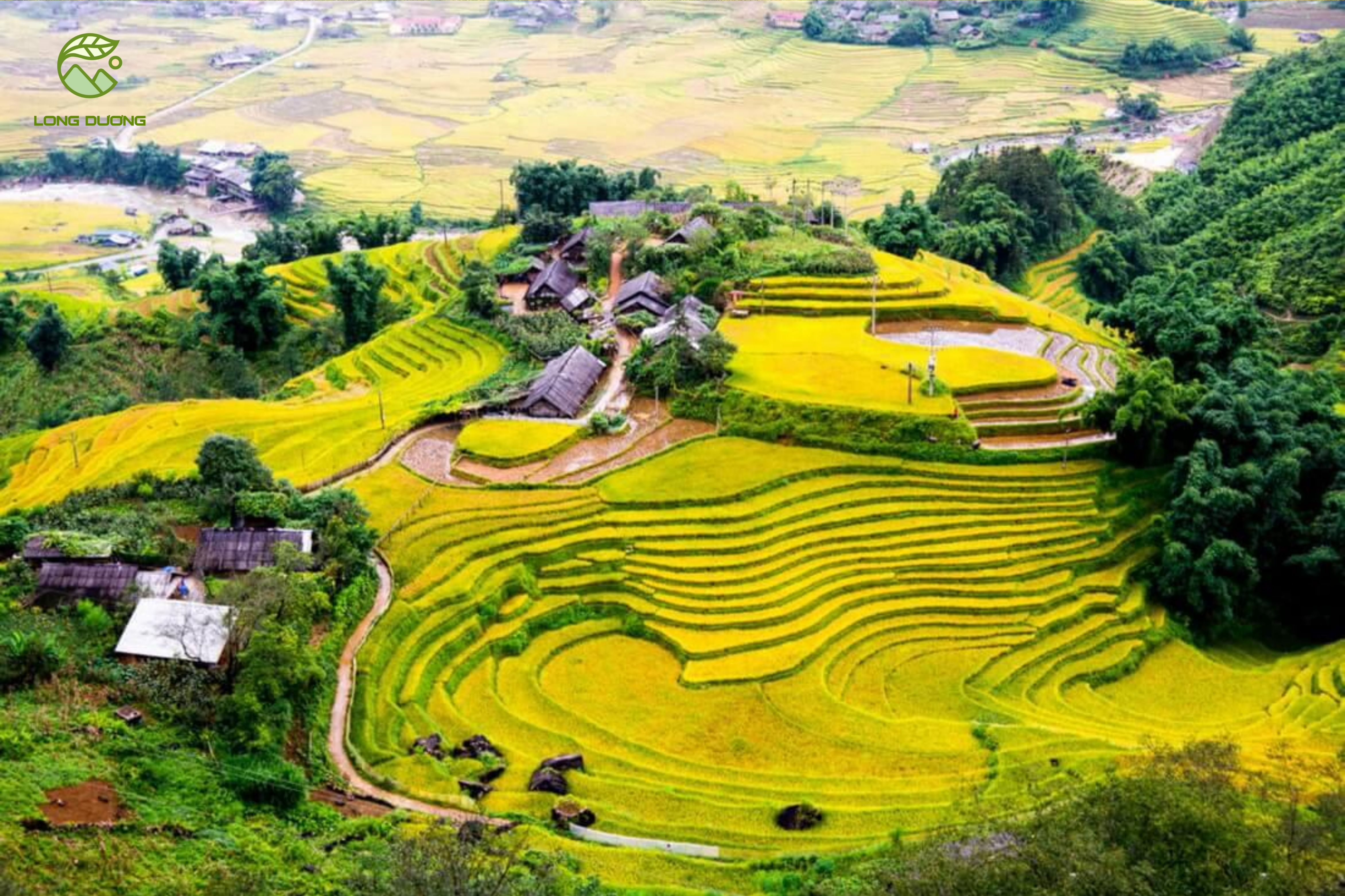 Hoàng Su Phì - Hà Giang
