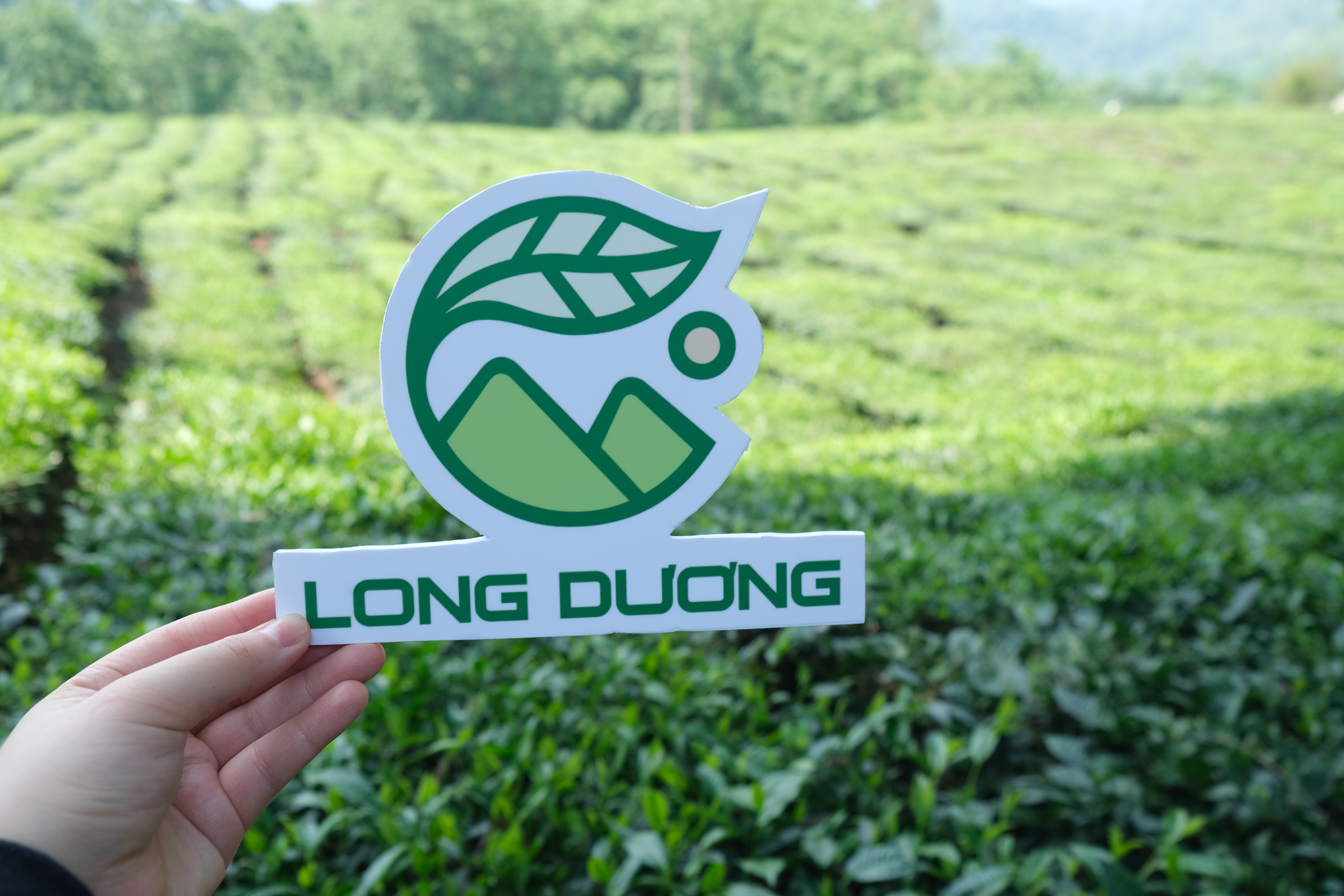 uống trà vì sức khỏe, lợi ích uống trà